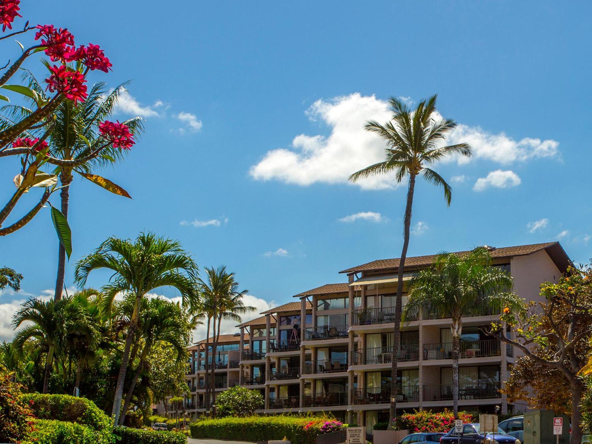 Ocean View Unit At Kihei Alii Kai Close To Beach Zewnętrze zdjęcie
